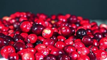 Close up table top from rotating red cranberries video