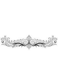 Elegant Black Flourish On White Background - Border vector