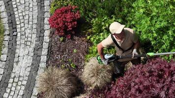 Gardener Trims Colorful Shrubs in Landscaped Garden on a Sunny Day video