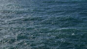 Waves Crash and Roll Along the Serene Coastline at Sunset video
