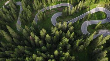 Winding Mountain Road Cuts Through Lush Forest Landscape in Bright Daylight video