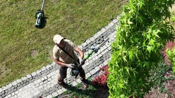 Gardener Trims Hedges and Bushes in a Well-Maintained Yard During Sunny Afternoon video