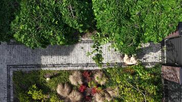 Beautiful Aerial View of a Garden With Vibrant Colors and Lush Greenery in Spring video
