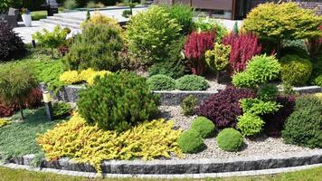 Beautiful Garden Landscaping With Colorful Plants in a Sunny Setting video