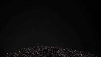 A pile of dirt with grass and weeds video