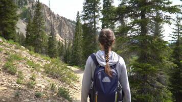 Person hiking mountain trail nature scene summer day video