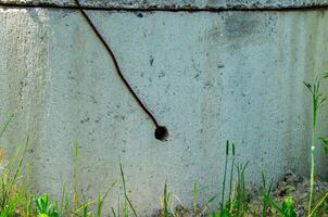 A small hole in a cement wall with a long, thin, brown object sticking out of it. The hole is barely visible and the object is long and thin, almost like a snake photo