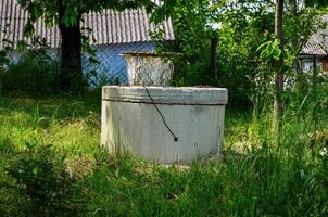 A cement basin with a white bucket on top of it. The bucket is dirty and has a few leaves in it. The basin is surrounded by grass and trees photo
