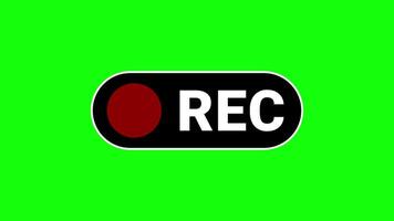 REC Button Animation with Blinking Red Dot on Green Screen video