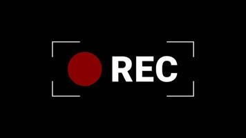 Recording Indicator REC Loop Animation Perfect for Streaming or Overlays video