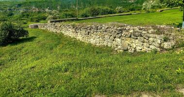 A grassy field with a stone wall in the background. The field is lush and green, and the stone wall adds a sense of structure and permanence to the scene photo