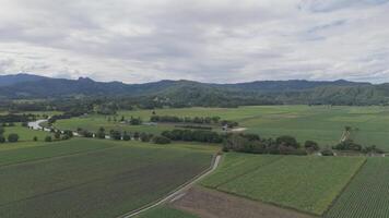 Lush green fields with distant mountains video