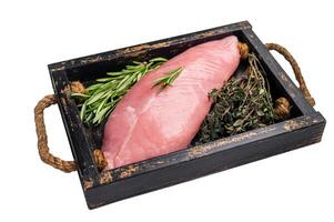 Raw poultry meat, fresh turkey breast fillet with herbs for cooking isolated on white background. top view photo
