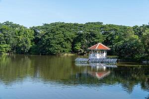 Building is in the pond in the park. photo
