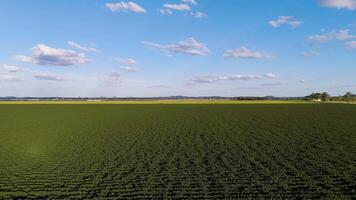 Expansive fields with solar panels and crops video