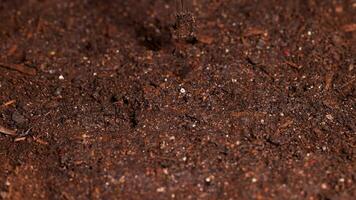 Close-up of soil as water is poured, creating a hole for planting seeds in a controlled lab environment video