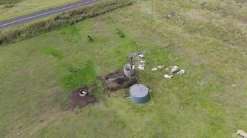 Cattle gather around windmill for feeding video