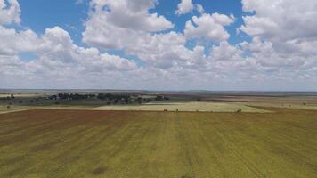 Aerial view of fields and countryside landscape video
