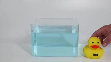 Sequential submersion of a rubber duck in water video