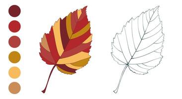 Hand-drawn autumn colored maple leaves and fall color palette isolated on white background. vector