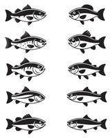Black and white fish illustrations in various poses on a white background vector