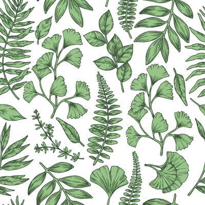 Seamless pattern of tropical green forest leaves. illustration in sketch style. ginkgo, fern