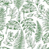 Seamless pattern. Tropical green forest leaves. Sketch style illustration. Monstera, fern, eucalyptus vector