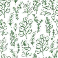 Seamless pattern of tropical green forest eucalyptus leaves. Sketch style illustration. vector