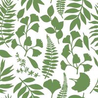 Seamless pattern of tropical green forest leaves. Silhouette of ginkgo, fern vector