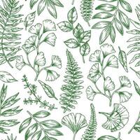 Seamless pattern of tropical green forest leaves. Sketch style illustration. Ginkgo, fern vector