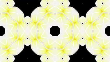 Kaleidoscope vibrant green leaves and flower natural background. abstract green fractal background. video