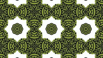 Abstract vintage kaleidoscopic green leaves pattern. loop animation. Nature inspired decoration. artistic pattern. video
