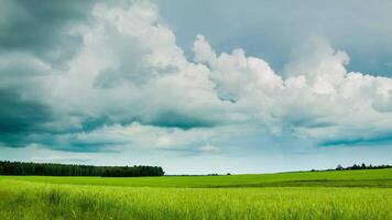 Green Field With Overcast Clouds Time Lapse video