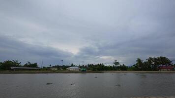 Scenic View of Lake with Cloudy Sky video