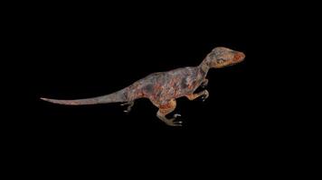 Red Deinonychus Run Top View video