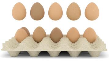 egg falls in egg crate video