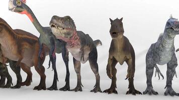 dinosaur size compared on white background video