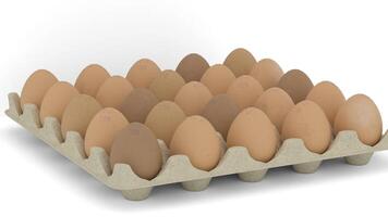 egg falls in egg tray video