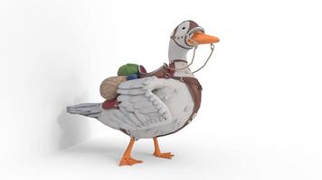 duck 3d animation video