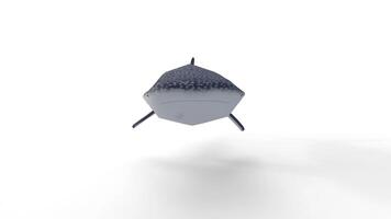 whale shark 3d animation video