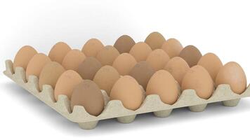 eggs in egg tray on white background video