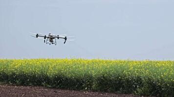 Agricultural Drone Hovering Over Flowering Field, Modern Farming Technology in Action Under Clear Sky video
