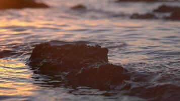 Calm sea water flow and stone, slow motion golden hour video