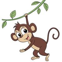 Brown monkey swinging on green vine with leaves vecto vector