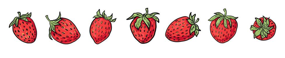Strawberry collection with berries in different angles. Playful, bold, hand-drawn elements. Great for patterns, stickers, packaging and sweet summer designs. vector