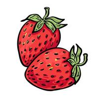 Juicy red strawberry duo with green tops. Hand-drawn clipart for food packaging, product labels, and summer designs. vector