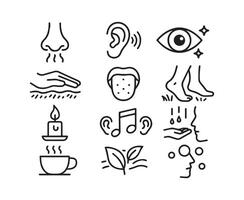 Explore the Sensory World A Visual Representation of the Five Senses vector