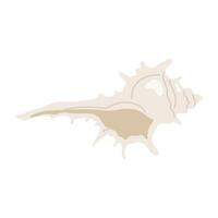 Sea shell. Underwater elements. Illustration for summer, ocean design, beach decor, kids project vector