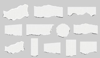 torn pieces of checkered paper. Notebook sheet pieces with torn edges. Piece of smooth ripped checkered paper. lined and crumpled effect vector