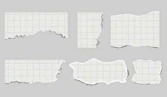 torn pieces of checkered paper. Notebook sheet pieces with torn edges. Ripped checkered Paper Torn Edges. Piece of smooth ripped checkered paper. lined and crumpled effect. vector
